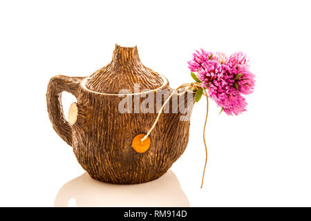 Teekanne und Rotklee Blüten auf weißem Hintergrund Stockfoto