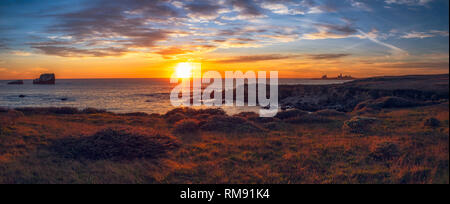 Panoramaaussicht, Sonnenuntergang über dem Meer, schöne Küste mit roten Blumen, blaues Meer und bunten bewölkter Himmel Stockfoto