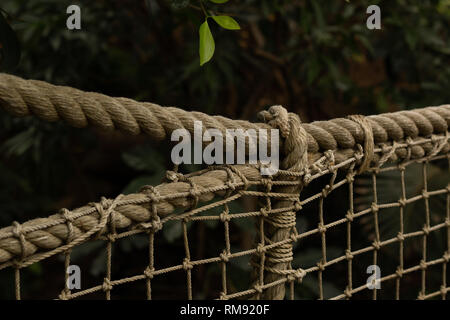 Detaillierte Rope Bridge mit Grünem Dschungel Hintergrund Stockfoto