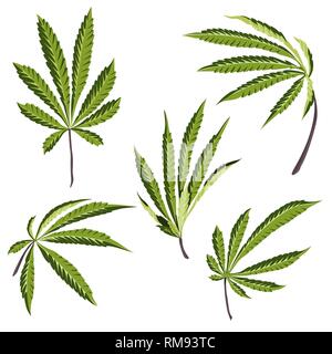 Vektor Hanfpflanze Illustrationen Satz von 5 Blättern grüne Cannabis isolierten clip art Stock Vektor