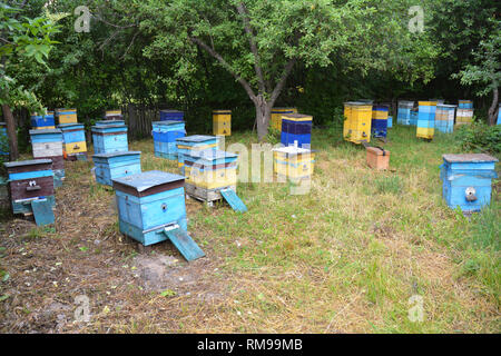 Bunte Bienenstöcke im Garten. Stockfoto