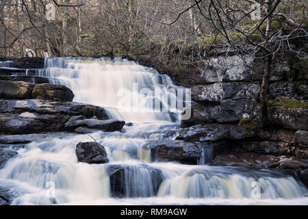 Die unteren Wasserfälle von East Gill Force in der Nähe von Keld, in den Yorkshire Dales Stockfoto