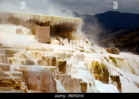 WY 03493-00 ... WYOMING - Kanarische Feder, Teil von Mammoth Hot Springs, Yellowstone National Park. Stockfoto