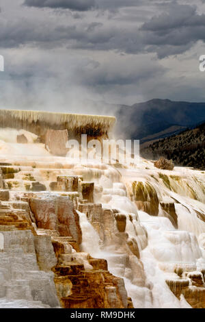 WY 03494-00 ... WYOMING - Kanarische Feder, Teil von Mammoth Hot Springs, Yellowstone National Park. Stockfoto