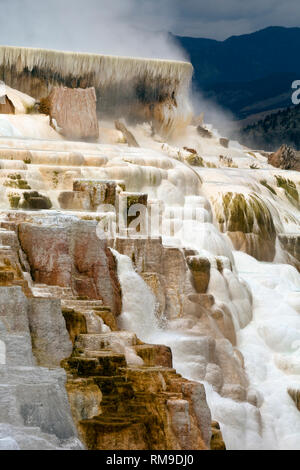 WY 03495-00 ... WYOMING - Kanarische Feder, Teil von Mammoth Hot Springs, Yellowstone National Park. Stockfoto