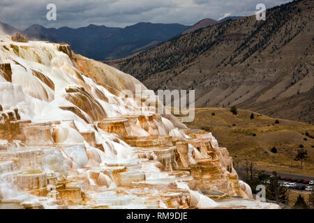 WY 03497-00 ... WYOMING - Kanarische Feder, Teil von Mammoth Hot Springs, Yellowstone National Park. Stockfoto