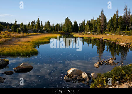 WY 03717-00 ... WYOMING - Reflexionen in einem kleinen Teich entlang der Beartooth Highway in der Shoshone National Forest. Stockfoto