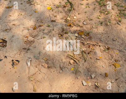 Massengräber auf die Killing Fields, Choeung Ek, Phnom Penh, Kambodscha, Asien Stockfoto