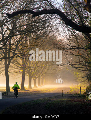 Southampton, Hampshire. 14. Feb 2019. UK Wetter. Hoher Druck weiter Wetter in Großbritannien zu beherrschen, was zu einem nebelhaften Start in den Tag für Lkw-fahrerhauses und Jogger auf Southampton Gemeinsamen. Credit: James Hughes/Alamy leben Nachrichten Stockfoto
