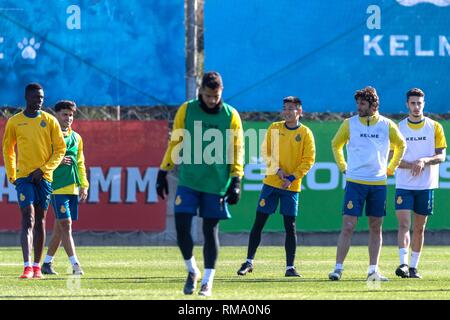 Barcelona, Spanien. 14 Feb, 2019. Wu Lei (3. R) der China teil in offenen Training der Spanischen Liga team RCD Espanyol Barcelona, Spanien, am 14.02.2019. Credit: Joan Gosa/Xinhua/Alamy leben Nachrichten Stockfoto