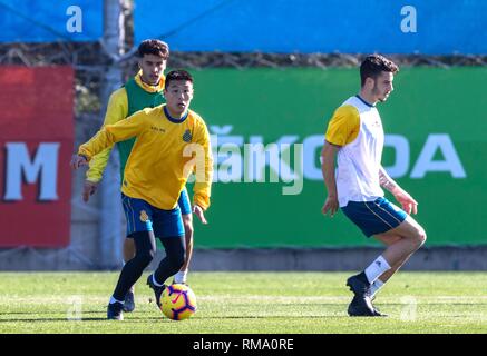 Barcelona, Spanien. 14 Feb, 2019. (SP) Spanien - Barcelona - Fußball - RCD ESPANYOL Wu Lei (vorne) von China teil in offenen Training der Spanischen Liga team RCD Espanyol Barcelona, Spanien, am 14.02.2019. Credit: Joan Gosa/Xinhua/Alamy leben Nachrichten Stockfoto