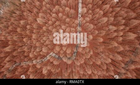 Peking, China. 10 Jan, 2019. Luftaufnahme auf Jan. 10, 2019 zeigt die Landschaft von Wald nach Schnee in Jiangba County im Huai'an, der ostchinesischen Provinz Jiangsu. Quelle: Wan-Zhen/Xinhua/Alamy leben Nachrichten Stockfoto