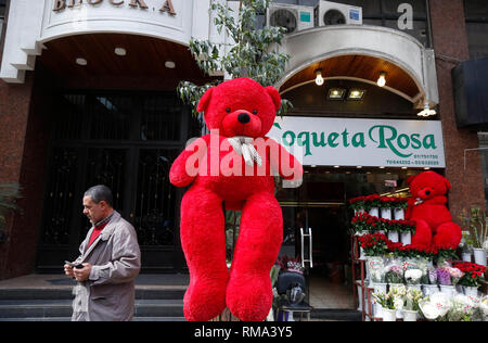 Beirut, Libanon. 14 Feb, 2019. Rosen sind vor einem Blumenladen während des Valentines Tag in Beirut, Libanon verkauft, am 14.02.2019. Credit: Bilal Jawich/Xinhua/Alamy leben Nachrichten Stockfoto