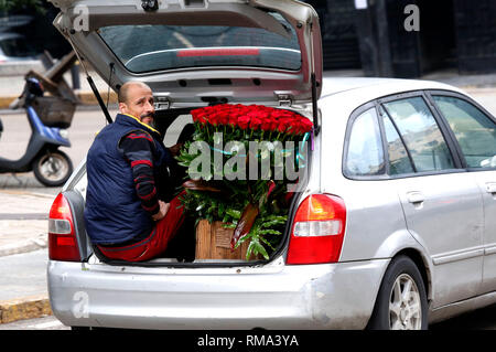 Beirut, Libanon. 14 Feb, 2019. Ein Mann mit einem Bündel Rosen ist in der Rückseite eines Autos während der Valentinstag in Beirut, Libanon gesehen, am 14.02.2019. Credit: Bilal Jawich/Xinhua/Alamy leben Nachrichten Stockfoto