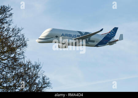 Broughton, Flintshire, Großbritannien. 14. Februar 2019. Der neue Airbus A 330-743 L Verkehrsmittel Flugzeug Airbus Beluga XL bekannt macht ein Vorbeiflug an Hawarden Airport. Der Flughafen befindet sich neben dem Airbus Fabrik am Stadtrand von Chester und Dies ist der erste Besuch von der Ebene in die Fabrik, wo es bis Samstag bleiben wird. Die Beluga XL ist so konzipiert, dass Flugzeuge Flügel zu transportieren und hat 30 Prozent mehr Frachtkapazität als die aktuelle Beluga. Credit: Andrew Paterson/Alamy leben Nachrichten Stockfoto