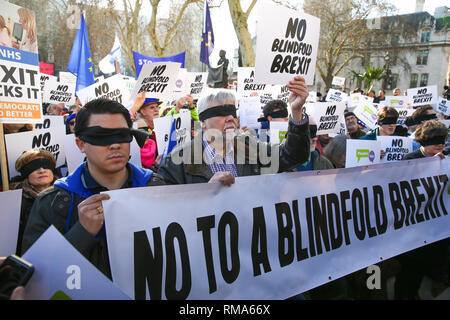 London, Großbritannien. 14 Feb, 2019. Blinde gefaltet Demonstranten gesehen halten ein Banner während des Protestes. Hunderte von Stimmen Unterstützer der Menschen trug Augenbinden im Parlament Platz vor der Debatte im Unterhaus protestierte, dass der Brexit deal keine Klarheit und ohne Verschluss über die zukünftigen Beziehungen zwischen Großbritannien und Europa zur Verfügung stellen würde. Credit: Dinendra Haria/SOPA Images/ZUMA Draht/Alamy leben Nachrichten Stockfoto