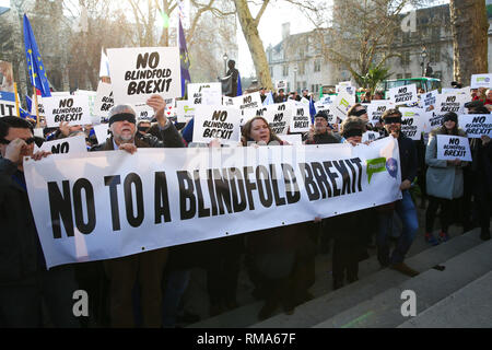 London, Großbritannien. 14 Feb, 2019. Blinde gefaltet Demonstranten gesehen halten ein Banner während des Protestes. Hunderte von Stimmen Unterstützer der Menschen trug Augenbinden im Parlament Platz vor der Debatte im Unterhaus protestierte, dass der Brexit deal keine Klarheit und ohne Verschluss über die zukünftigen Beziehungen zwischen Großbritannien und Europa zur Verfügung stellen würde. Credit: Dinendra Haria/SOPA Images/ZUMA Draht/Alamy leben Nachrichten Stockfoto