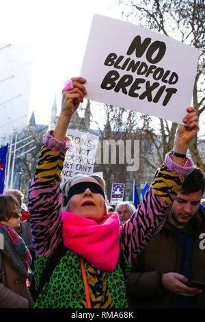 London, Großbritannien. 14 Feb, 2019. Eine blinde gefaltet Demonstrator gesehen hält ein Plakat während des Protestes. Hunderte von Stimmen Unterstützer der Menschen trug Augenbinden im Parlament Platz vor der Debatte im Unterhaus protestierte, dass der Brexit deal keine Klarheit und ohne Verschluss über die zukünftigen Beziehungen zwischen Großbritannien und Europa zur Verfügung stellen würde. Credit: Dinendra Haria/SOPA Images/ZUMA Draht/Alamy leben Nachrichten Stockfoto