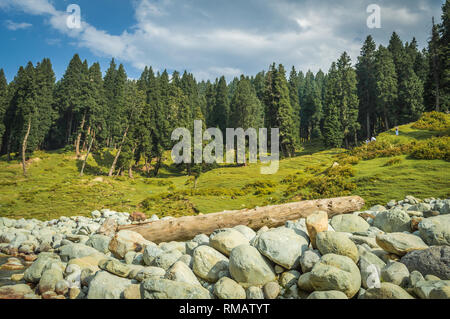 Ein Protokoll von Holz im weiten Feld der runden Felsbrocken eines Flussbettes in einer Landschaft in Kaschmir Stockfoto