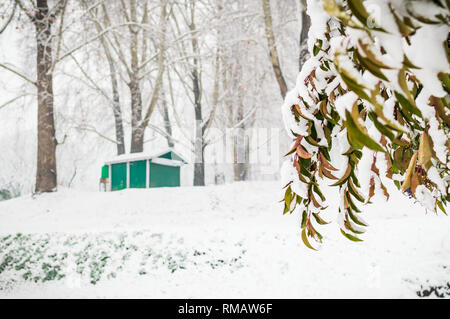 Eine grüne Farbe Hütte Hütte Hütte in einem dichten Wald bei Schnee Saison. Ein Haus in einer Winterlandschaft Stockfoto