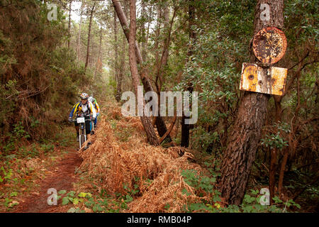 PISA, Italien - 12. JUNI 2009: Radfahrer unbekannt im Wege des Berges Gewächshaus (Monte Serra) im Herbst Zeitraum, Pisa, Toskana Stockfoto