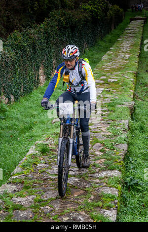 LUCCA, Italien - 12. JUNI 2009: Unbekannter Radfahrer radeln in Aquädukt bei Guamo, in der Nähe von Lucca, Toskana, Italien, gebaut von Lorenzo Nottolini 1823 Stockfoto