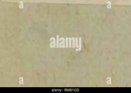 . Die jährlichen registrieren, oder einen Blick auf die Geschichte, Politik und Literatur für das Jahr ... . V^J i.%. Bitte beachten Sie, dass diese Bilder sind von der gescannten Seite Bilder, die digital für die Lesbarkeit verbessert haben mögen - Färbung und Aussehen dieser Abbildungen können nicht perfekt dem Original ähneln. extrahiert. London Stockfoto