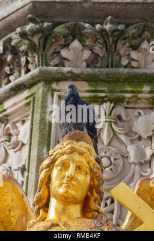 Isolierte Taube auf goldene Statue, Zagreb, Kroatien Stockfoto