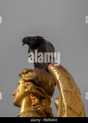 Isolierte Taube auf goldene Statue, Zagreb, Kroatien Stockfoto