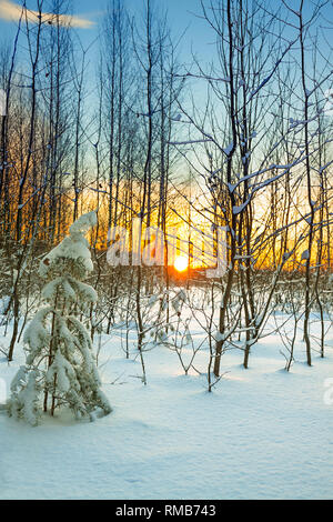 Schöne winterliche Landschaft mit Wald und Sonnenuntergang. Szene mit winterlichen Landschaft Stockfoto