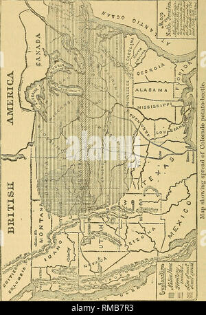 . Jahresbericht. 1 St-12th, 1867-1878. Geologie. EEPOET UNITED STATES Geological Survey. ihre Eier in Patches von Zeit zu Zeit über einen Zeitraum von ca. 40 Tagen; und auch von der Tatsache, dass unter, die Larven schlüpfen, die alle an einem Tag, einige entwickeln wird und Käfer in einer Woche werden und sogar zehn Tage früher als andere. So kann es sein, dass einige der späten Einzelpersonen in der dritten Brut Pass der Winter im, Puppe,. Obwohl die normale Gewohnheit ist, um Käfer zu verwandeln. Jedes Weibchen ist in der Lage nach oben Hinterlegung der tausend Eier, bevor sie unfruchtbar wird und in 30 bis f Stockfoto