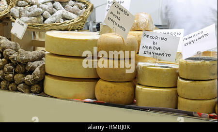 Viele italienische Käse mit Text PECORINO Das bedeutet Käse mit Milch von Schafen und Ziegen in Molkerei hergestellt Stockfoto