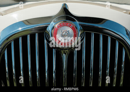 Die kühlerfigur eines klassischen Jaguar cremefarbenen Auto an einem sonnigen Tag an einem Oldtimer Automobil Rallye Stockfoto