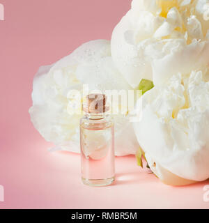 Weiße Pfingstrose und Flasche mit Öl oder Essenz auf Weiß. Close Up. Quadratisches Bild. Stockfoto