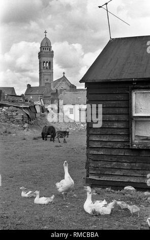 Limerick 1970er Jahre St Marys katholische Kirche County Limerick 1979 Eire HOMER SYKES Stockfoto