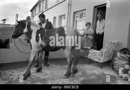 70er Jahre irische Familie mit Haustier Stadtpferd vor dem Hof ihres Hauses. Limerick, in County Limerick, Irland. West Coast of Southern Ireland 70er Jahre das neu erbaute South Hill Anwesen. 1979 HOMER SYKES Stockfoto