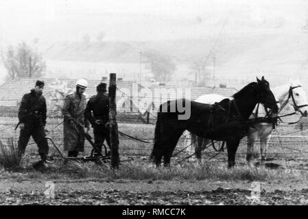 Der Todesstreifen wird gepflügt. Stockfoto