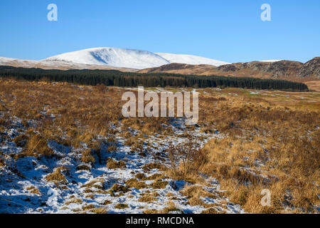 Cairnsmore der Flotte, Galloway Hills, Dumfries and Galloway, Schottland Stockfoto