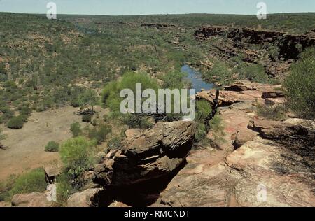 Die Murchison River fließt in den Kalbarri National Park durch eine tiefe Schlucht von Sandsteinfelsen. Stockfoto