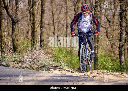 Sport Radfahrer Fahrten entlang einer Spur im Wald auf einem sonnigen Tag. Stockfoto
