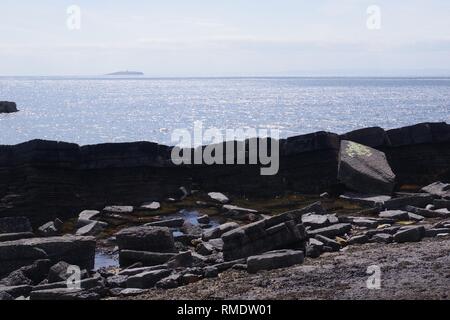 Karbon Sandstein ausgesetzt auf der Fife Küste in der Nähe von Crail, konjugiere Verfugung betroffen. Fife, Schottland, Großbritannien. Stockfoto