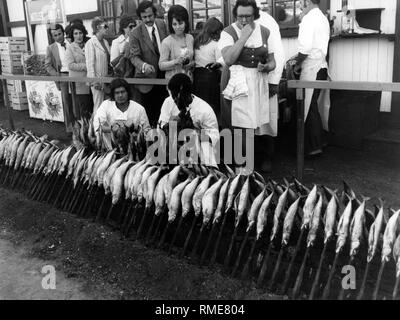 Steckerlfisch (Fisch vom Grill auf Sticks) auf dem Oktoberfest in München. Stockfoto