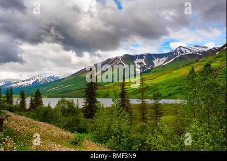 Die malerische Landschaft der Berge Bäume und Moose Lake, auf malerischen Seward Highway gesehen Stockfoto