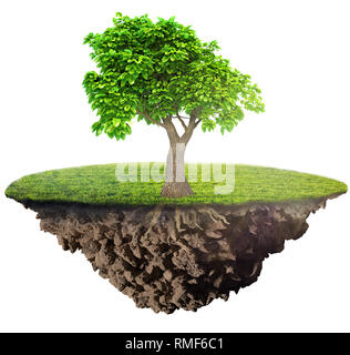 Grüne Gras Insel mit Baum auf weißem Hintergrund Stockfoto