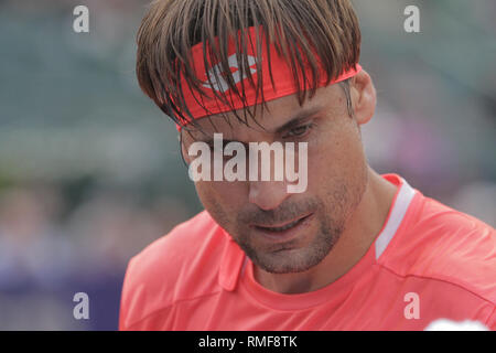 Buenos Aires, Argentinien. 14. Feb 2019. David Ferrer während der Partie der Runde 16 für ATP 250 Argentinien geöffnet auf Buenos Aires Lawn Tennis, Argentinien. (Credit: Néstor J. Beremblum/Alamy leben Nachrichten Stockfoto