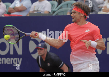 Buenos Aires, Argentinien. 14. Feb 2019. David Ferrer während der Partie der Runde 16 für ATP 250 Argentinien geöffnet auf Buenos Aires Lawn Tennis, Argentinien. (Credit: Néstor J. Beremblum/Alamy leben Nachrichten Stockfoto