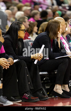 Columbia, SC, USA. 14 Feb, 2019. Südcarolina Kampfhähne Haupttrainer Dawn Staley trägt Schuhe in Unterstützung von Kay Yow in der sek Basketball matchup im Colonial Life Arena in Columbia, SC. (Scott Kinser/Cal Sport Media) Credit: Csm/Alamy leben Nachrichten Stockfoto