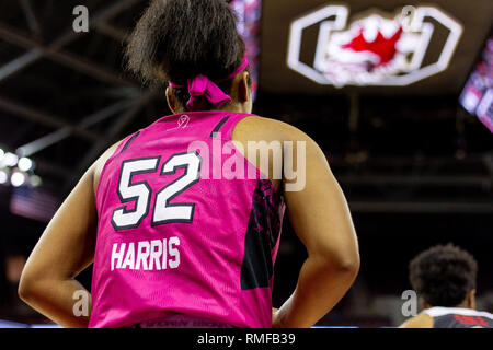 Columbia, SC, USA. 14 Feb, 2019. Südcarolina Kampfhähne guard Tyasha Harris (52) Inbounds, die Kugel in der sek Basketball matchup im Colonial Life Arena in Columbia, SC. (Scott Kinser/Cal Sport Media) Credit: Csm/Alamy leben Nachrichten Stockfoto