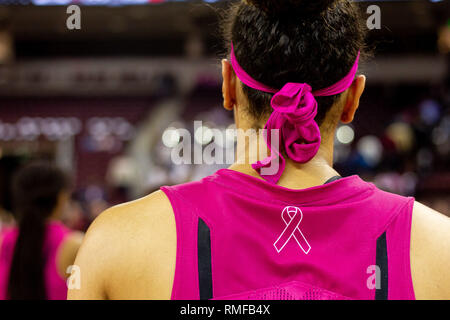 Columbia, SC, USA. 14 Feb, 2019. Südcarolina Kampfhähne zeigen ihre Unterstützung alle Pink für Brest-Bewußtsein in der sek Basketball matchup tragen im Colonial Life Arena in Columbia, SC. (Scott Kinser/Cal Sport Media) Credit: Csm/Alamy leben Nachrichten Stockfoto