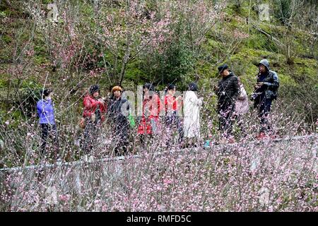 Huangshan, Anhui Chinas Provinz. 14 Feb, 2018. Besucher sehen die Landschaft von Maihuayu Dorf von Shexian County in der ostchinesischen Provinz Anhui, 14.02.2018. Die Punkte der Pflaume Blüten Herald die Ankunft des Frühlings. Credit: Pan Cheng/Xinhua/Alamy leben Nachrichten Stockfoto